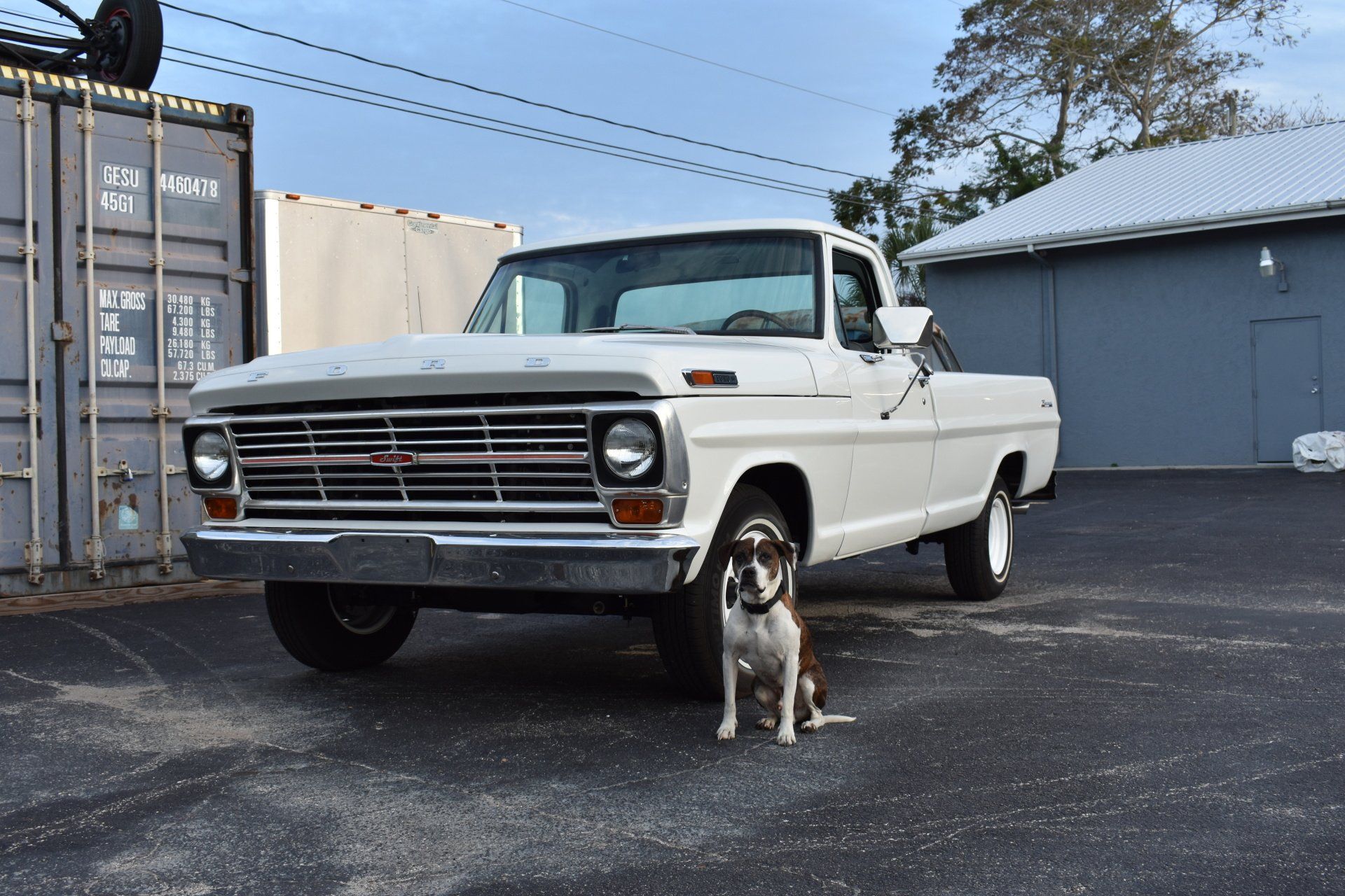 A dog is standing next to a white truck in a parking lot.