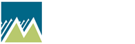 Metal Solutions, Inc. - Logo