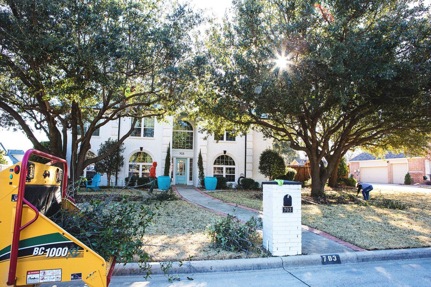 Residential tree service