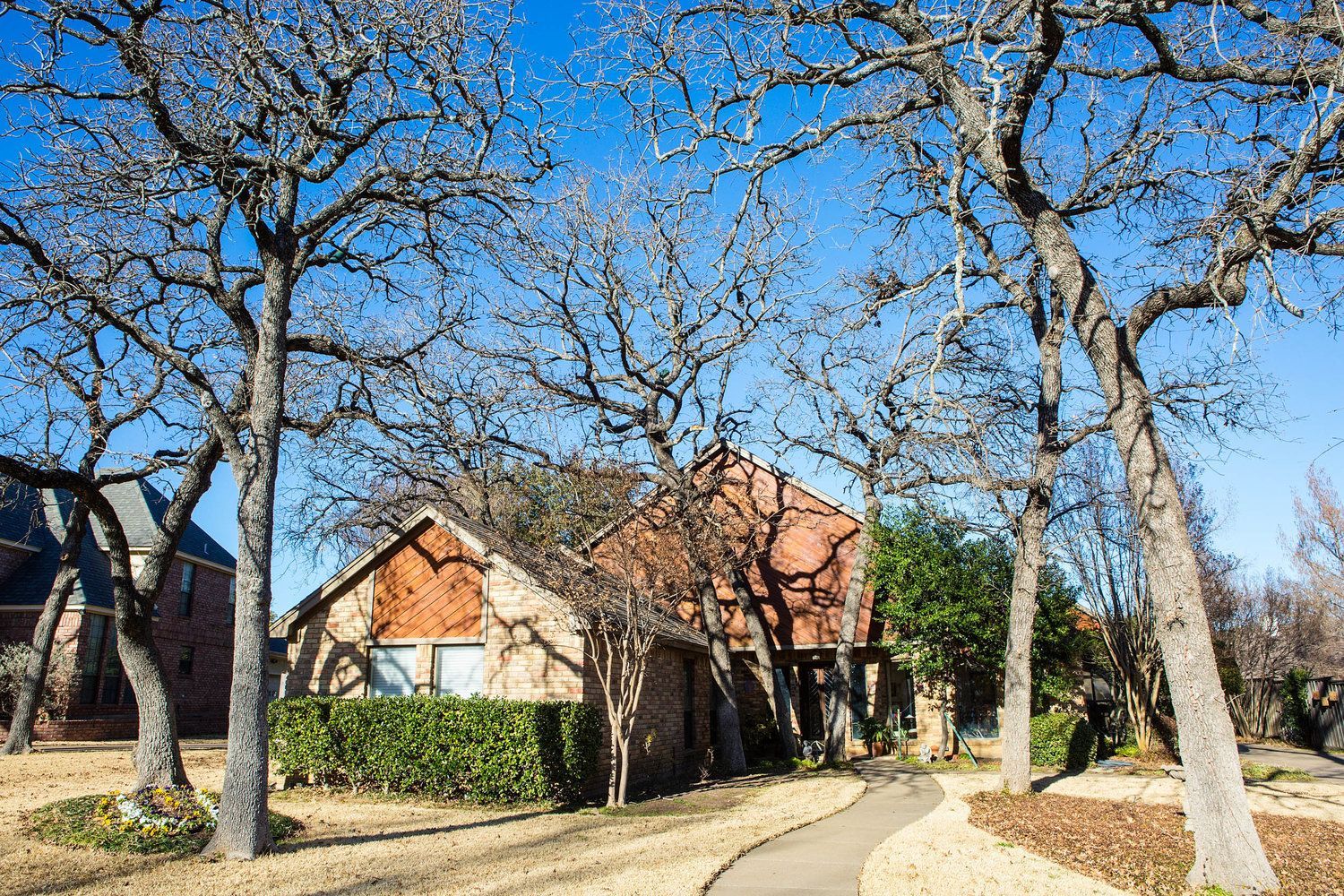 Residential tree service