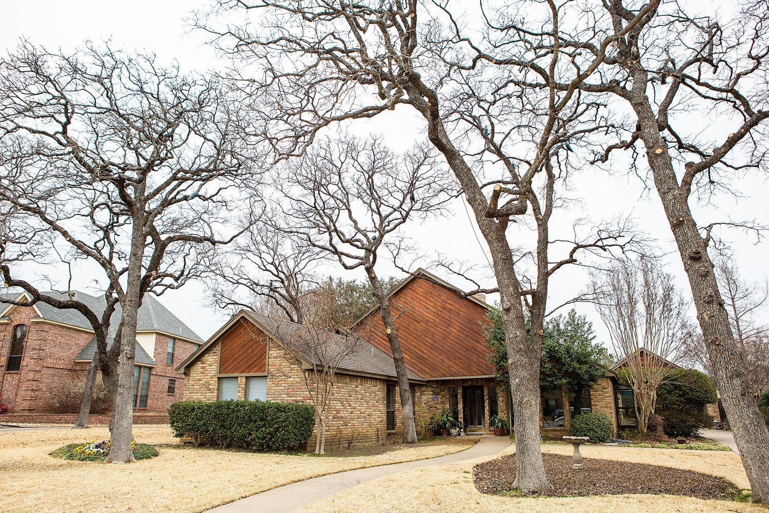 Residential tree service