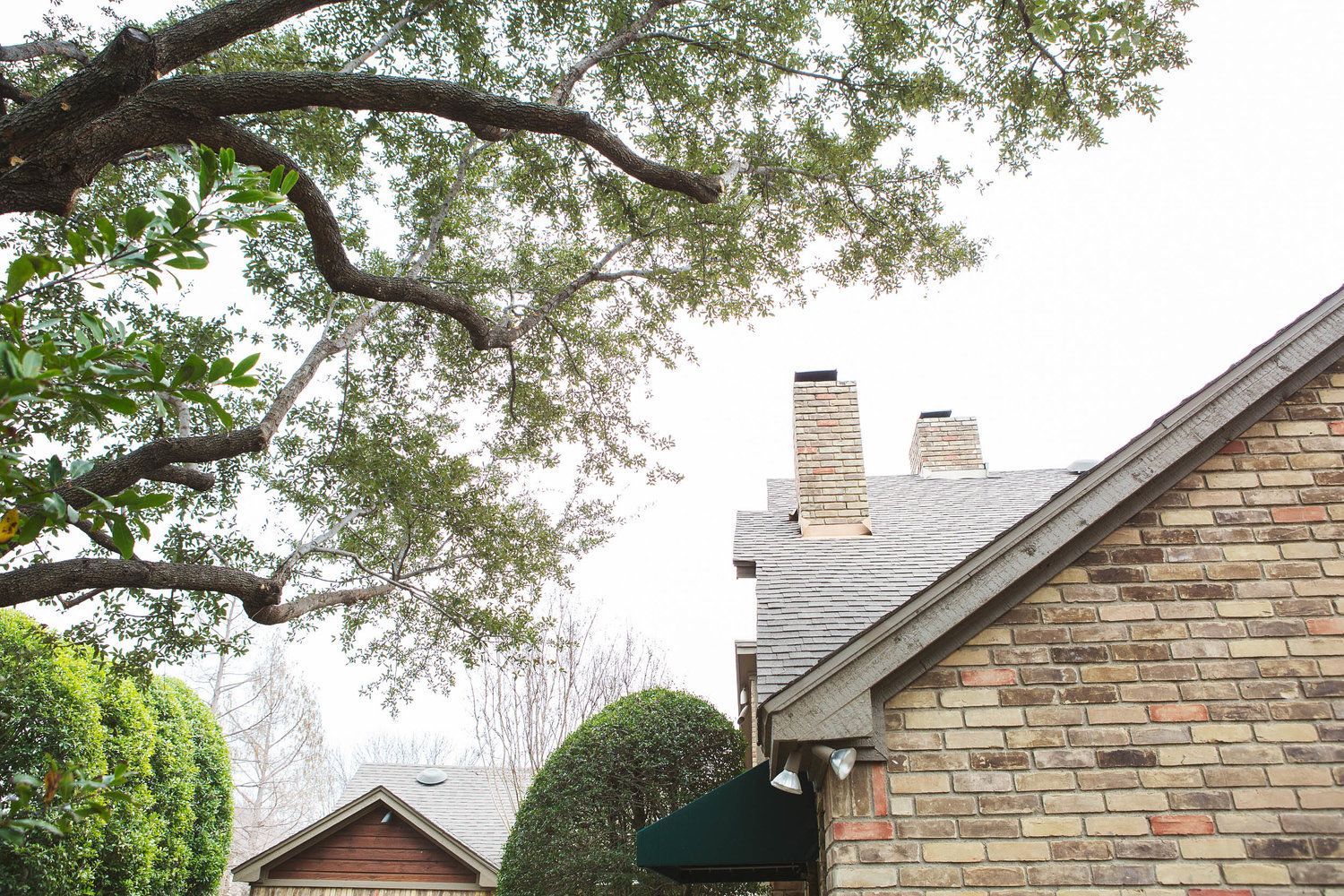 Residential tree service