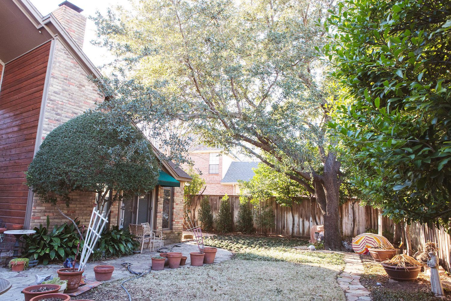 Residential tree service