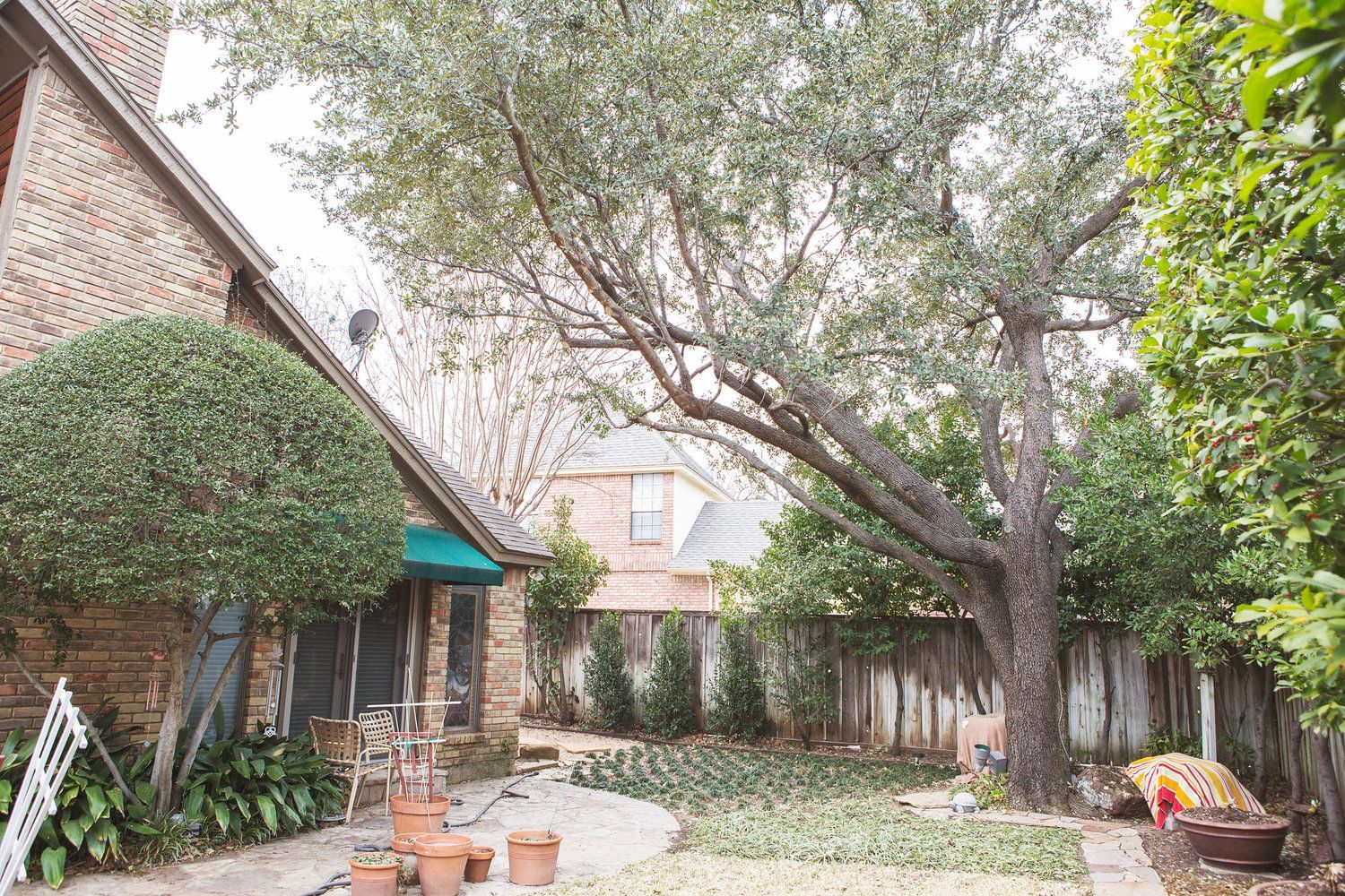 Residential tree service