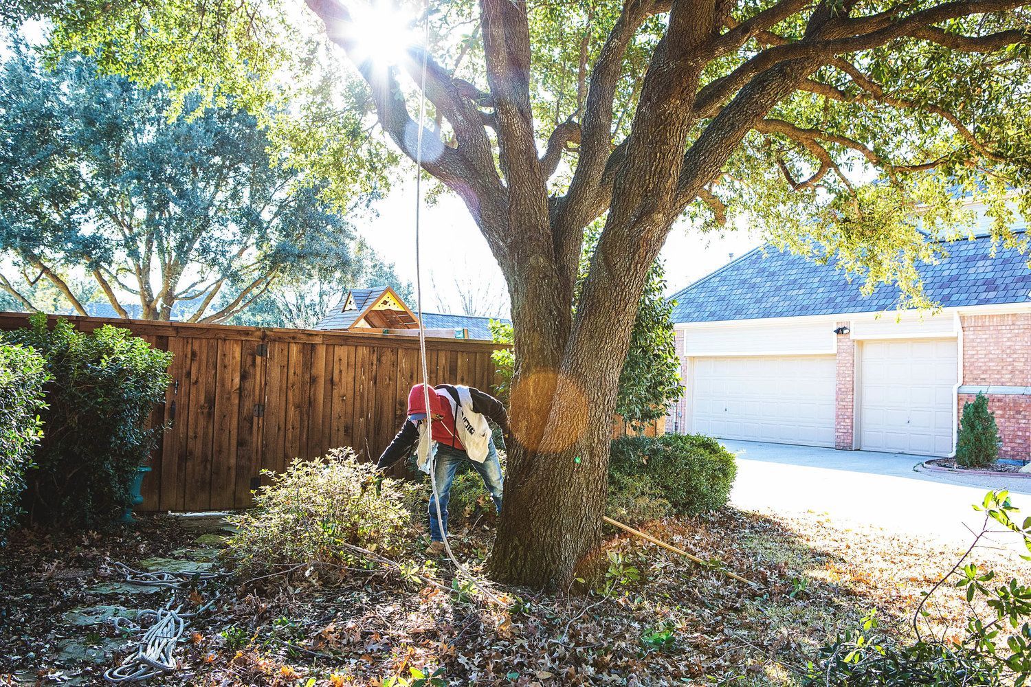 Tree trimming service