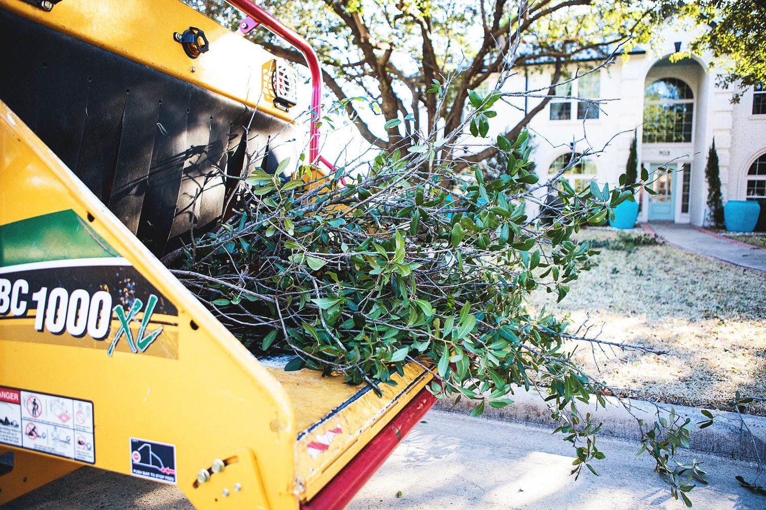 Tree service