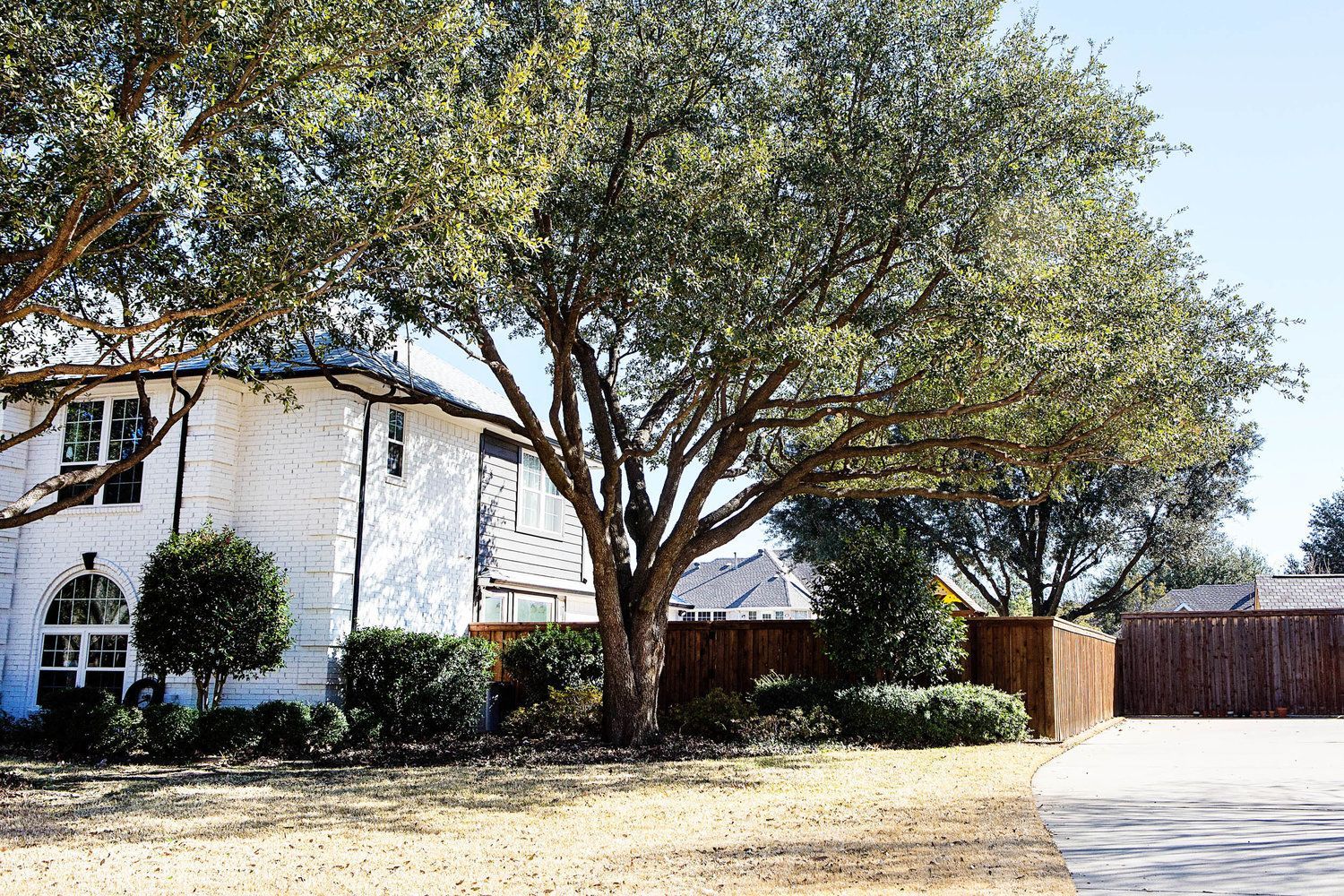 Residential tree service