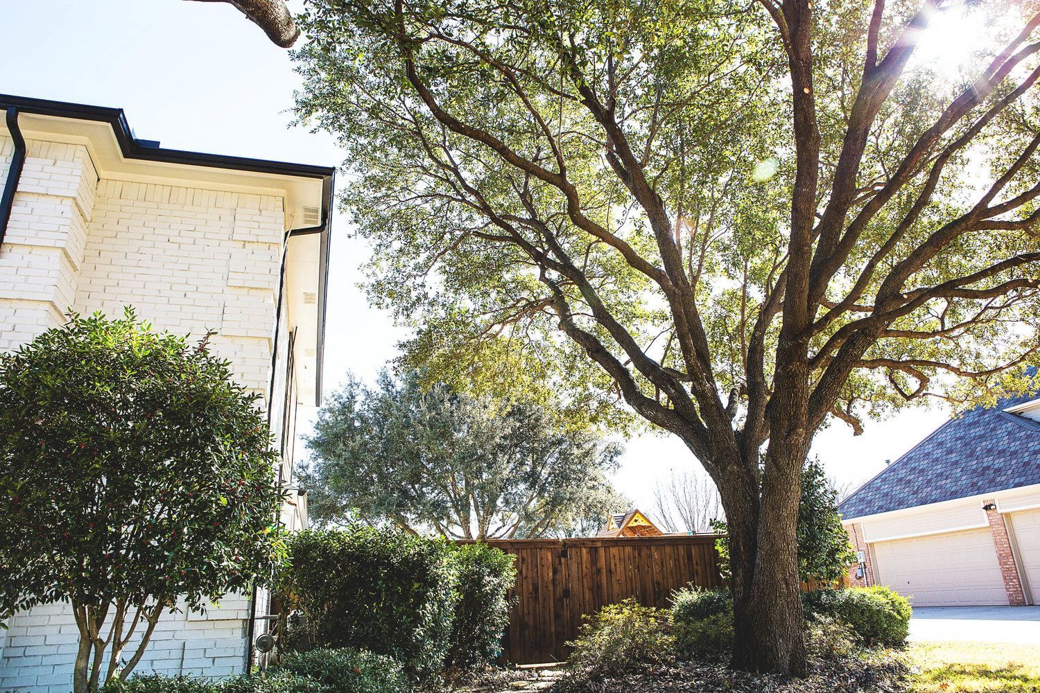 Residential tree service