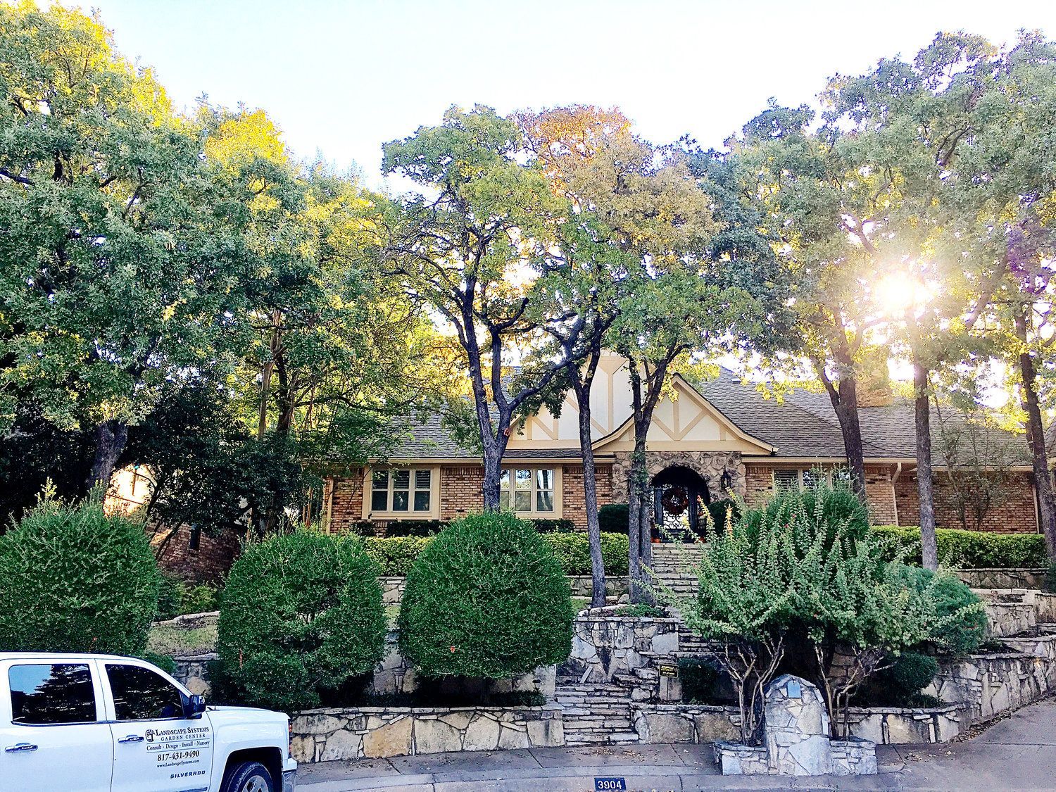 Residential tree service