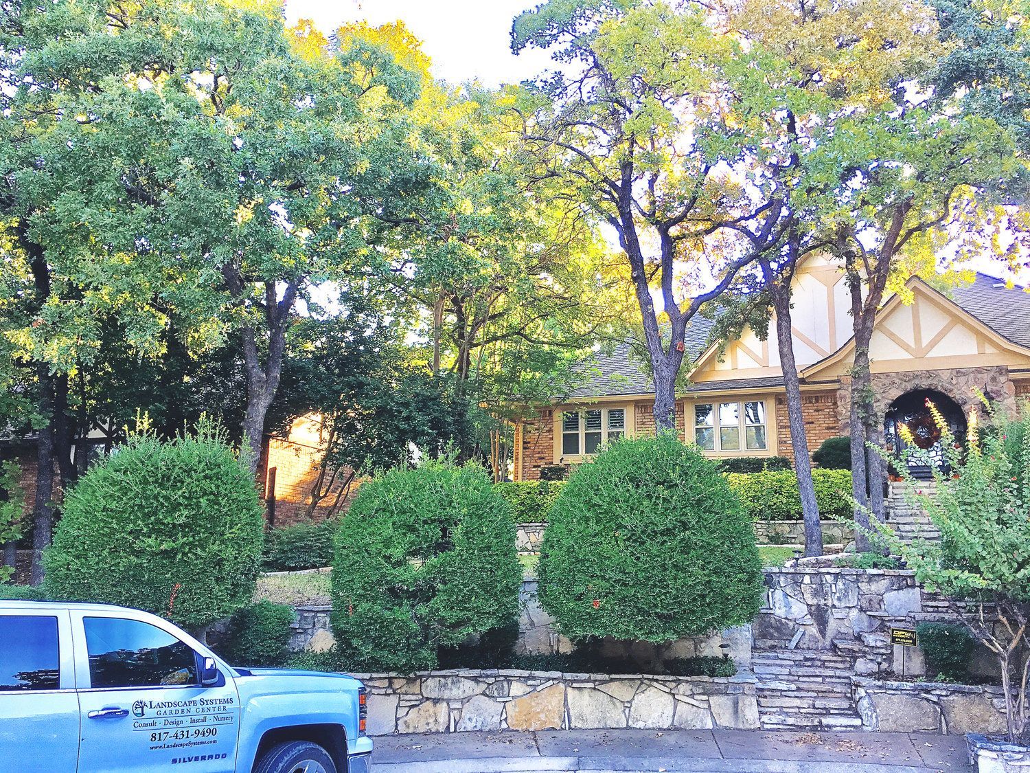 Residential tree service