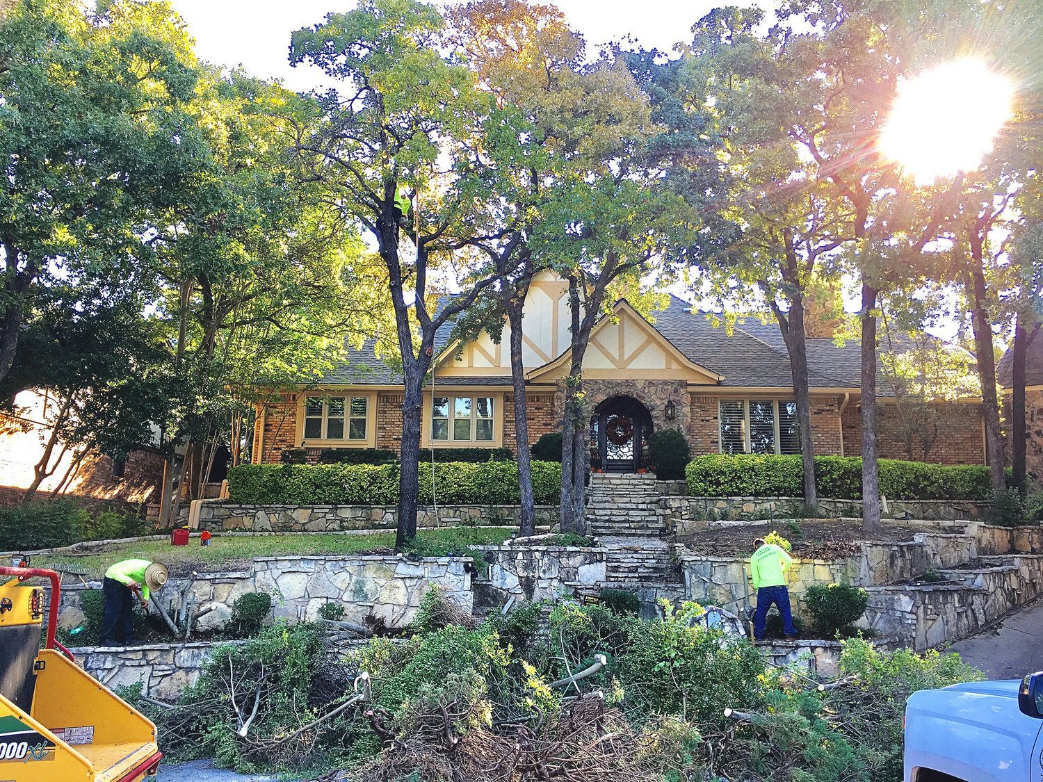 Residential tree service