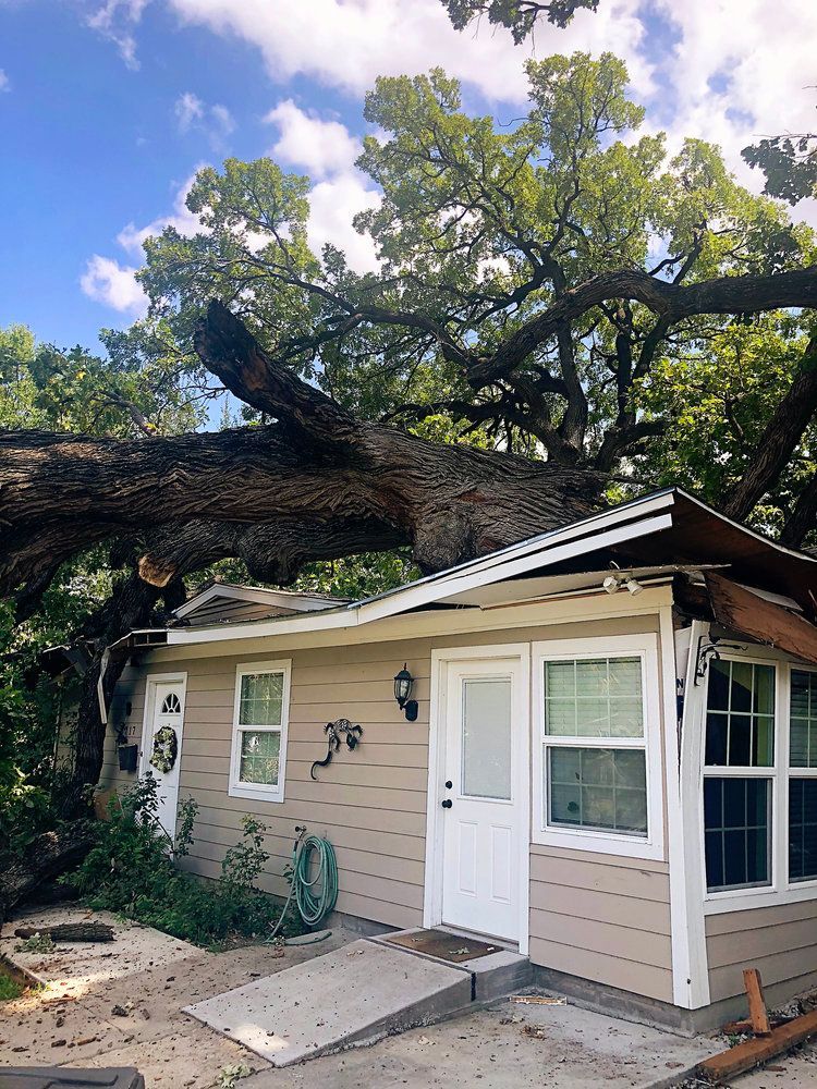 Residential tree service