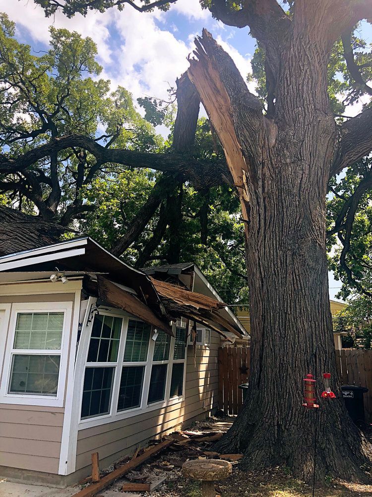 Emergency tree service