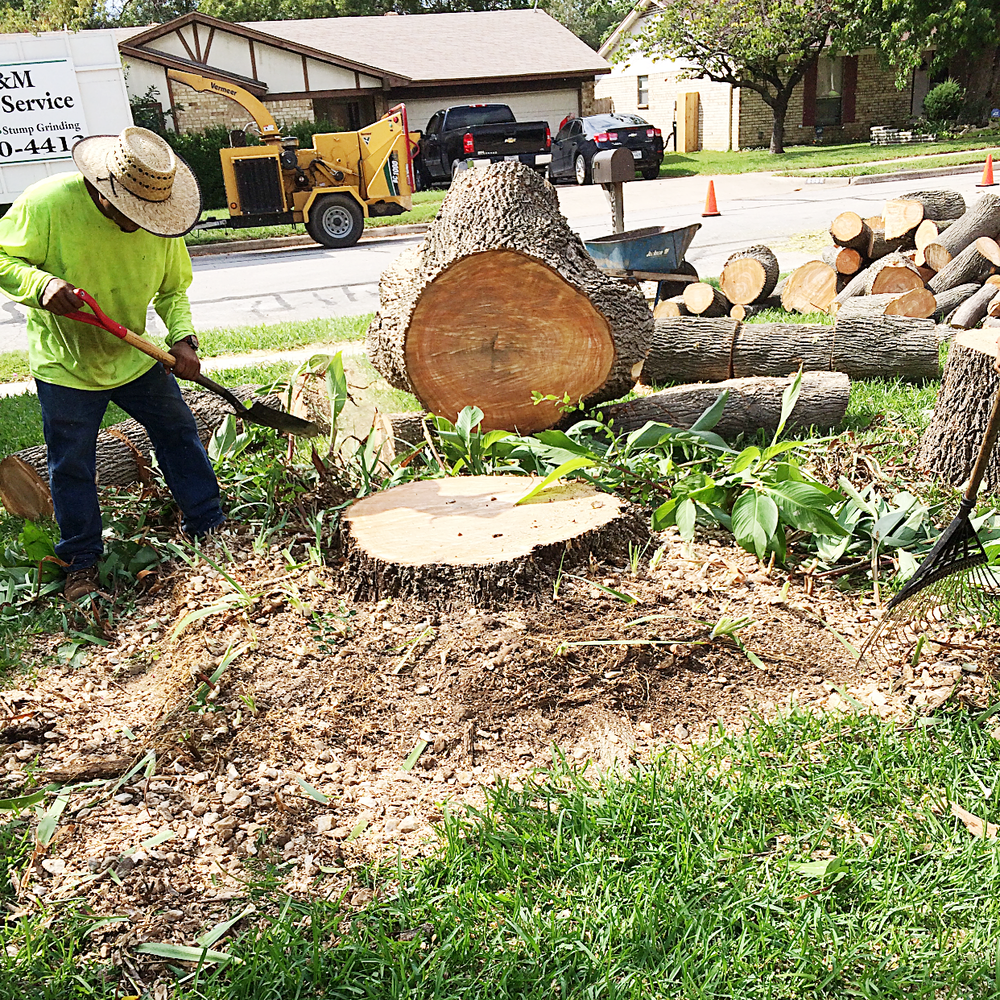 Stump removal