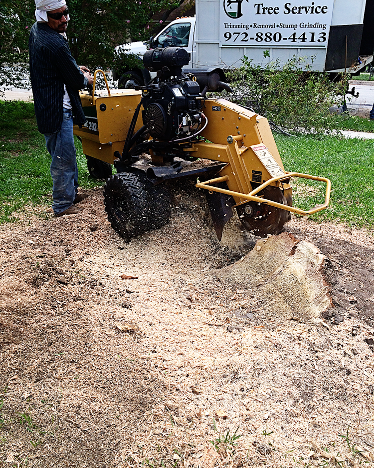 Stump removal