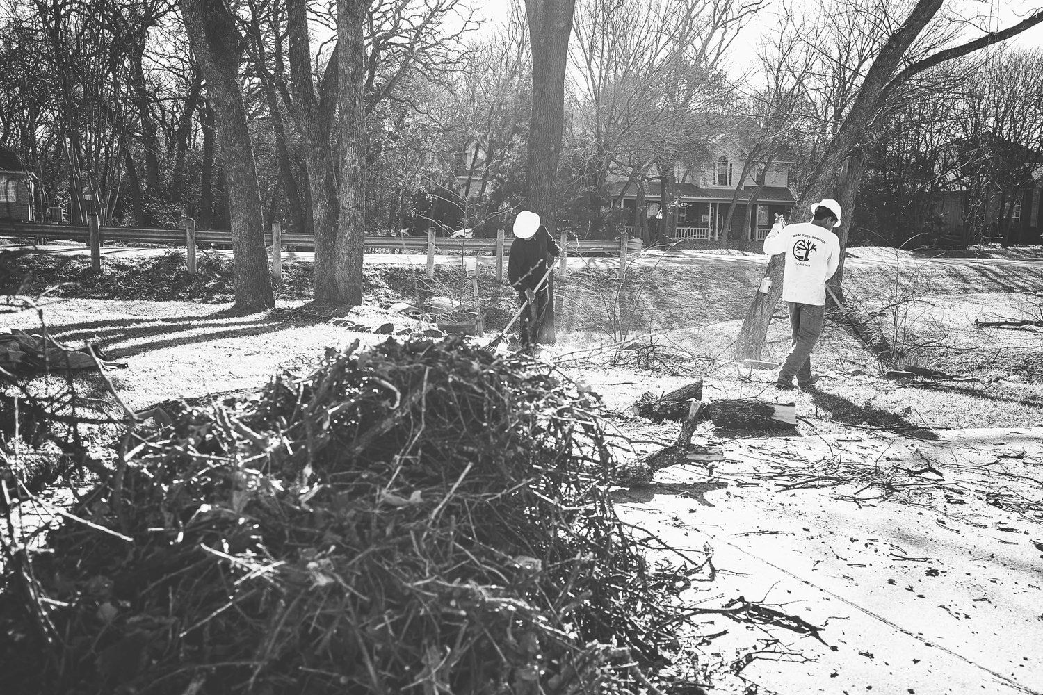 Land clearing