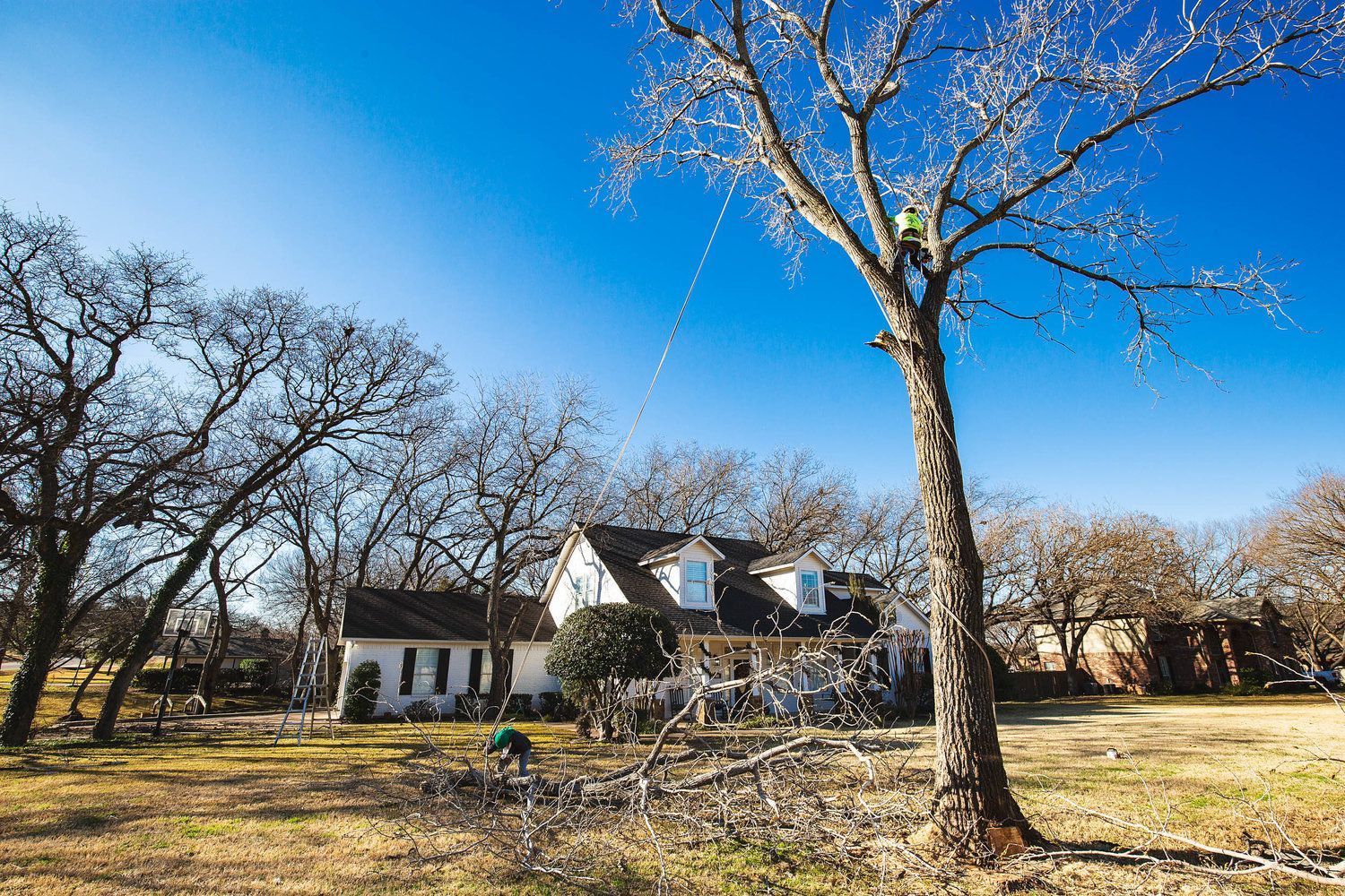 Land clearing