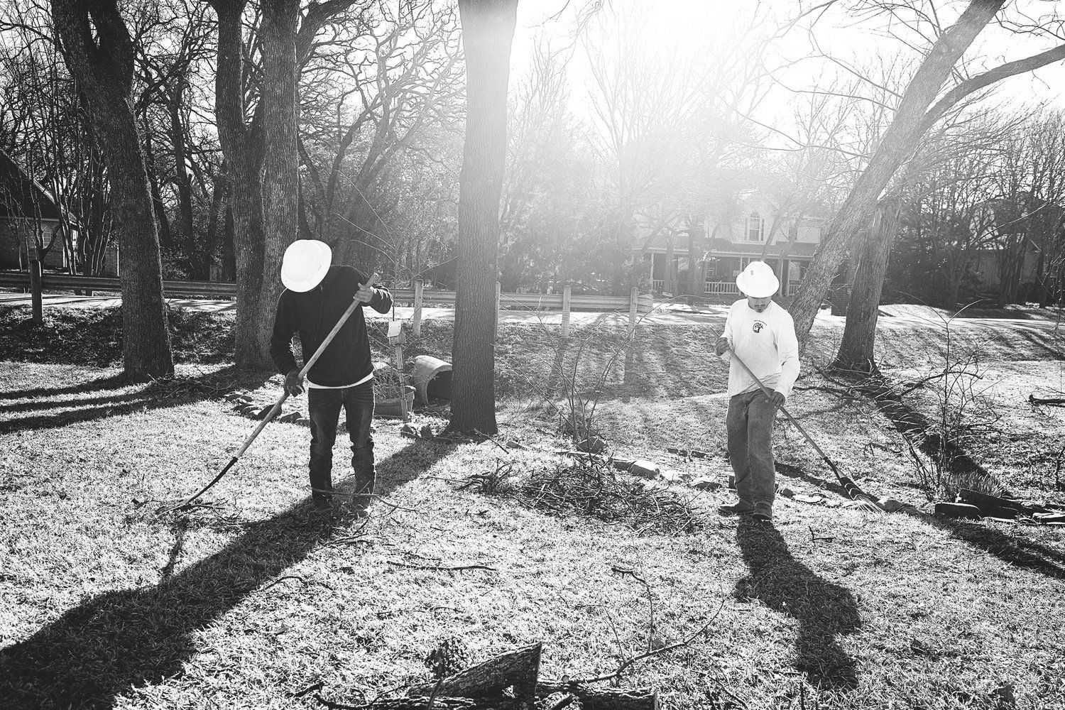 Land clearing