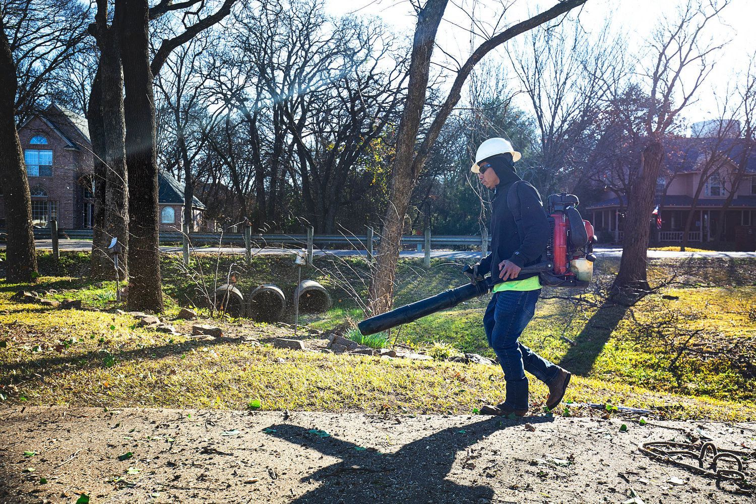 Tree service