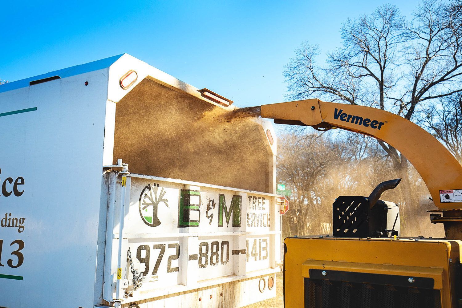 Tree service