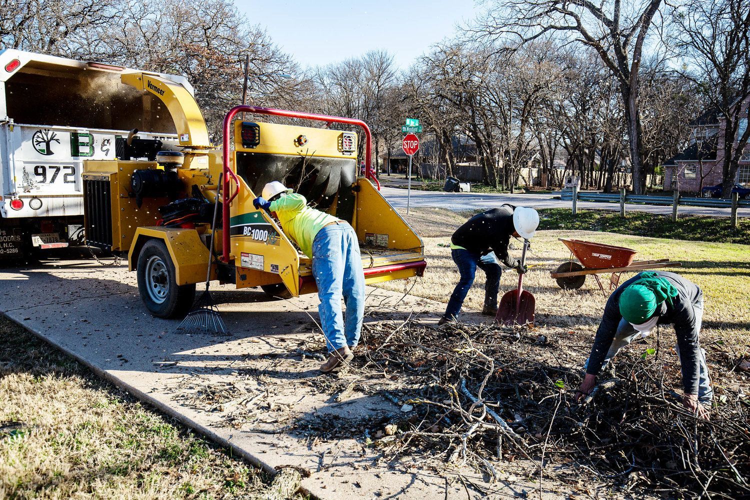 Tree grinding