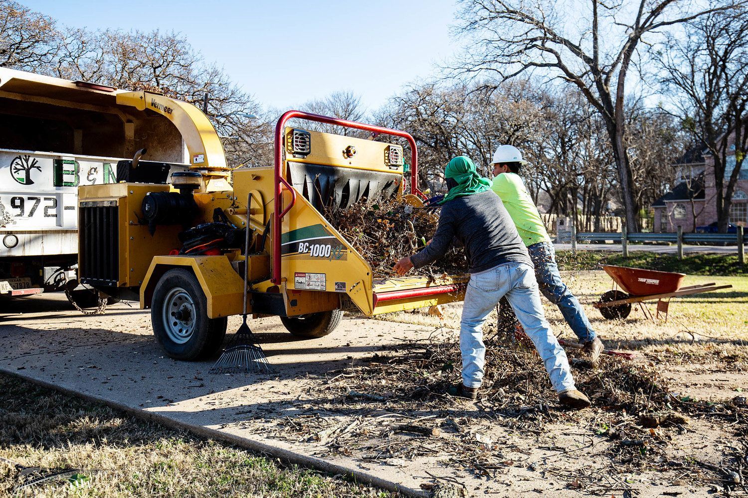 Tree grinding