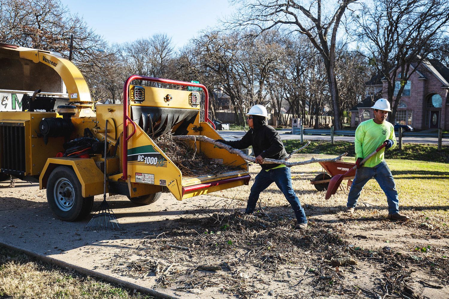 Tree grinding