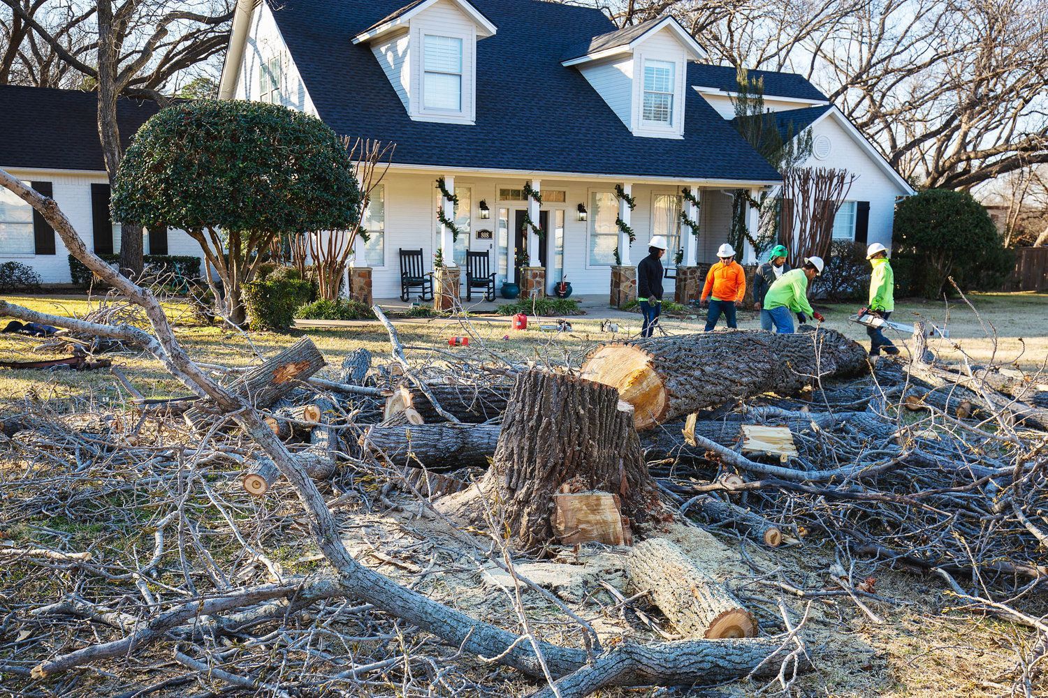 Tree removal