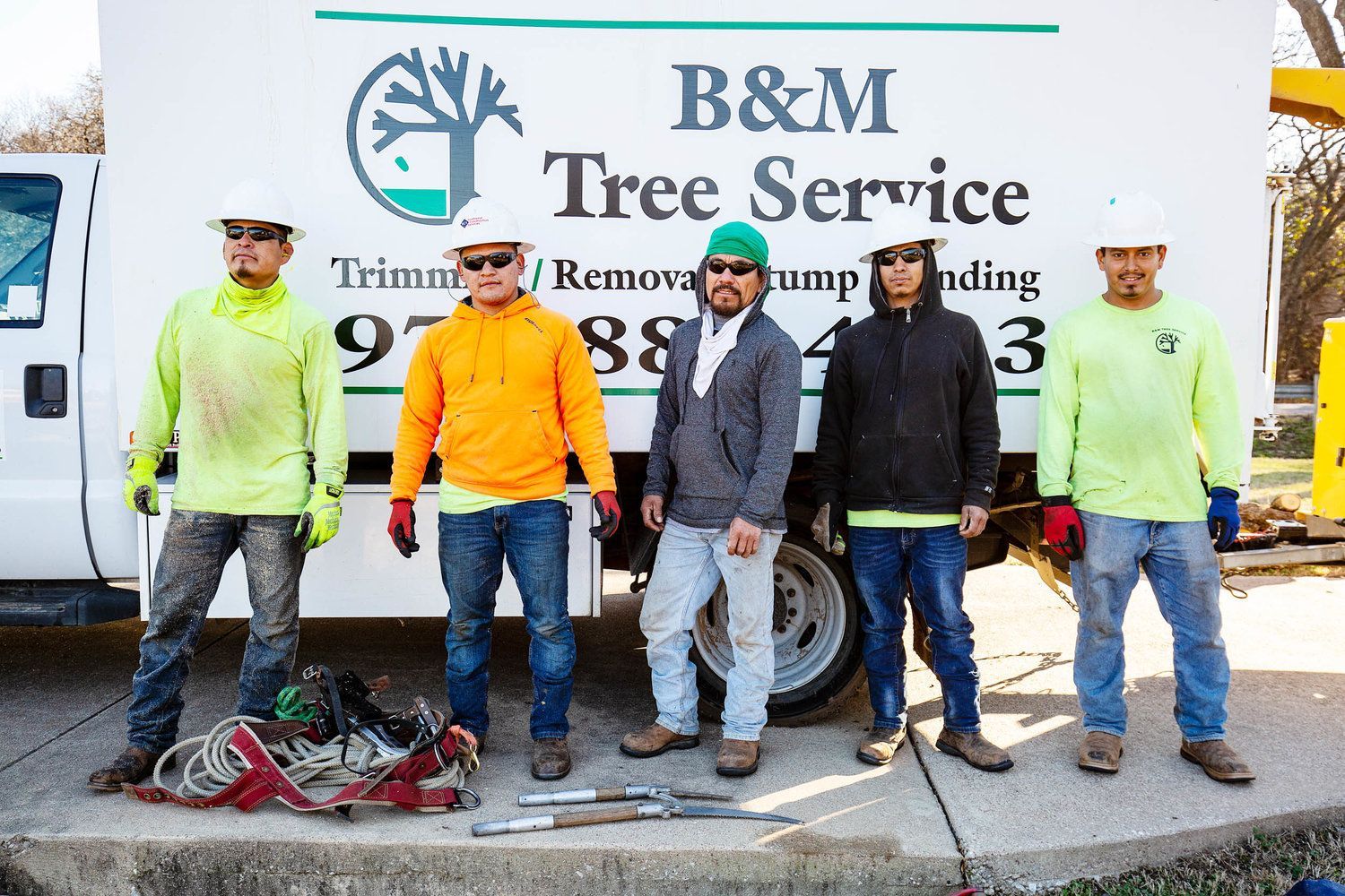 Tree service crew