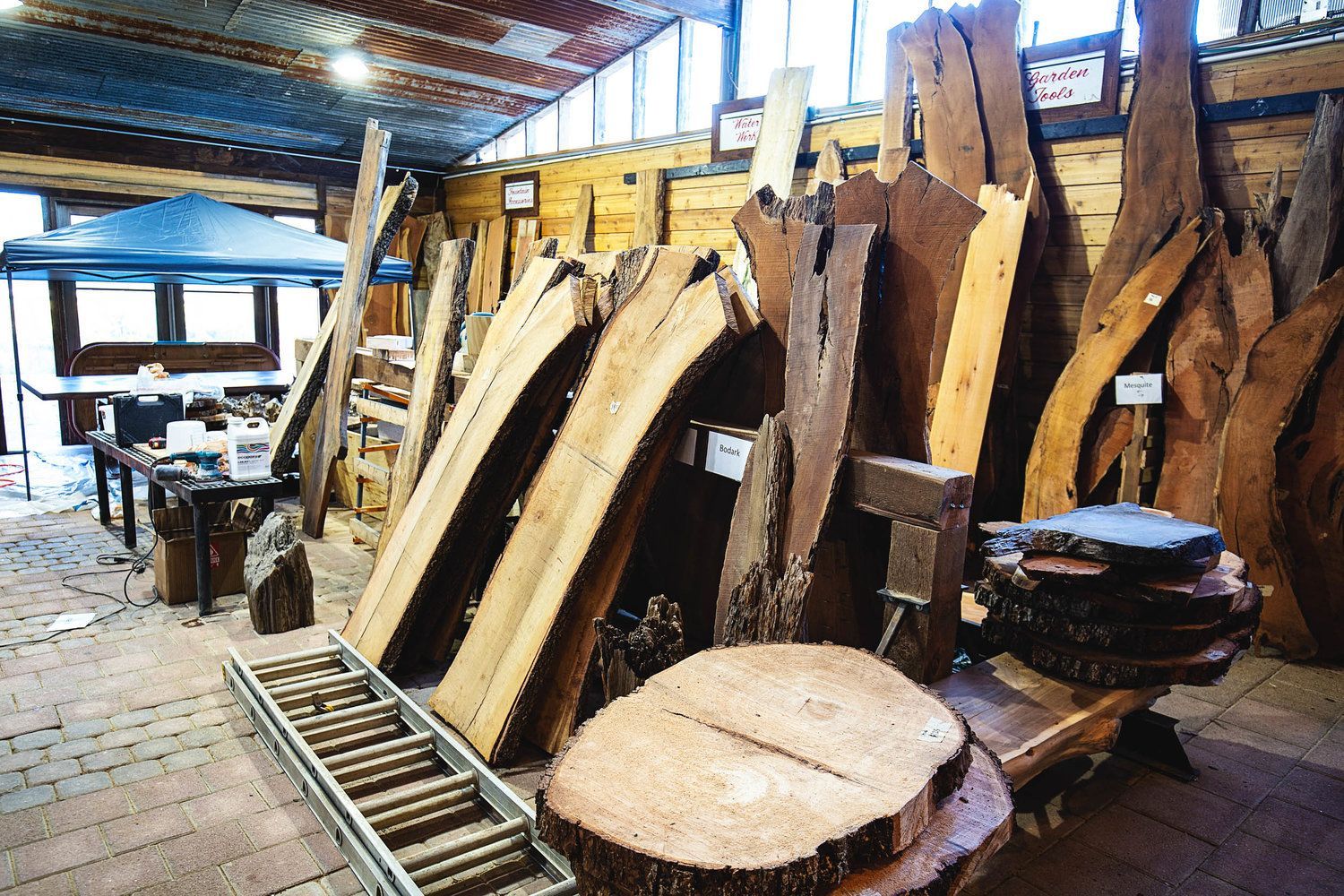 Trimmed logs