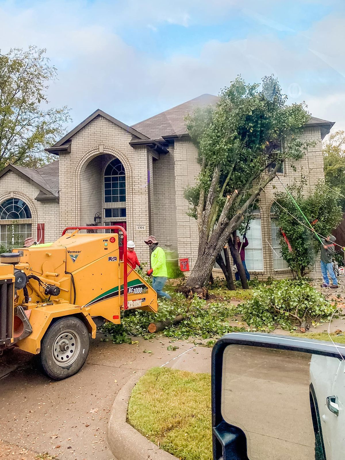 Residential tree services