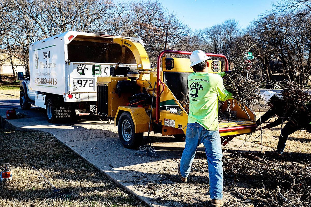 Tree Services Southlake TX Westlake TX B&M Tree Service