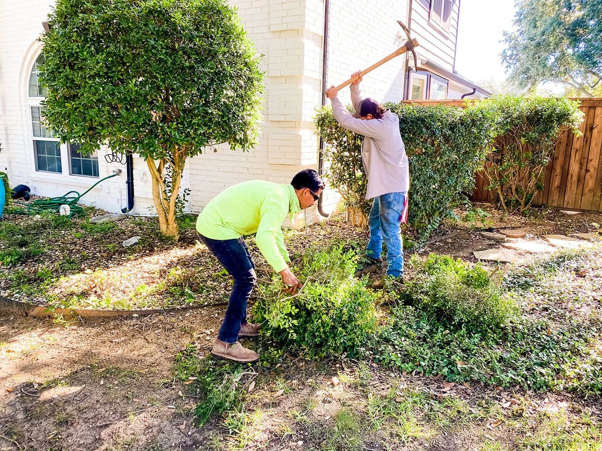 Land clearing