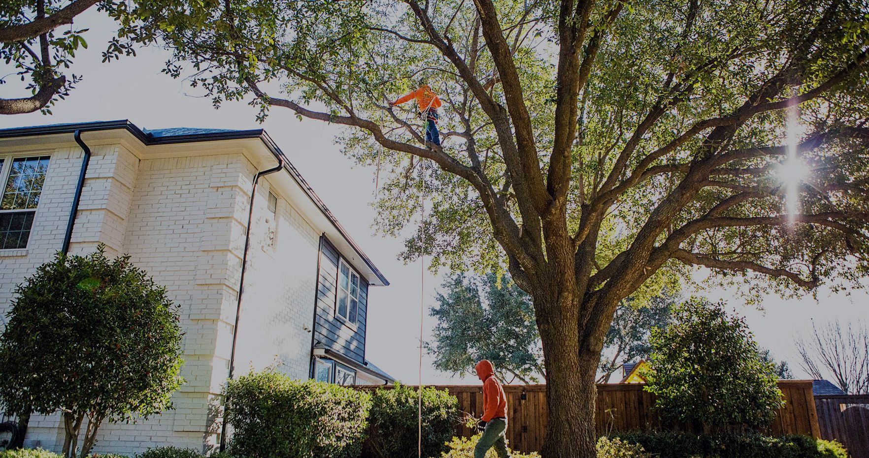Tree Services Southlake TX | Westlake TX | Bu0026M Tree Service