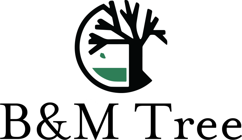 B&M Tree Service logo