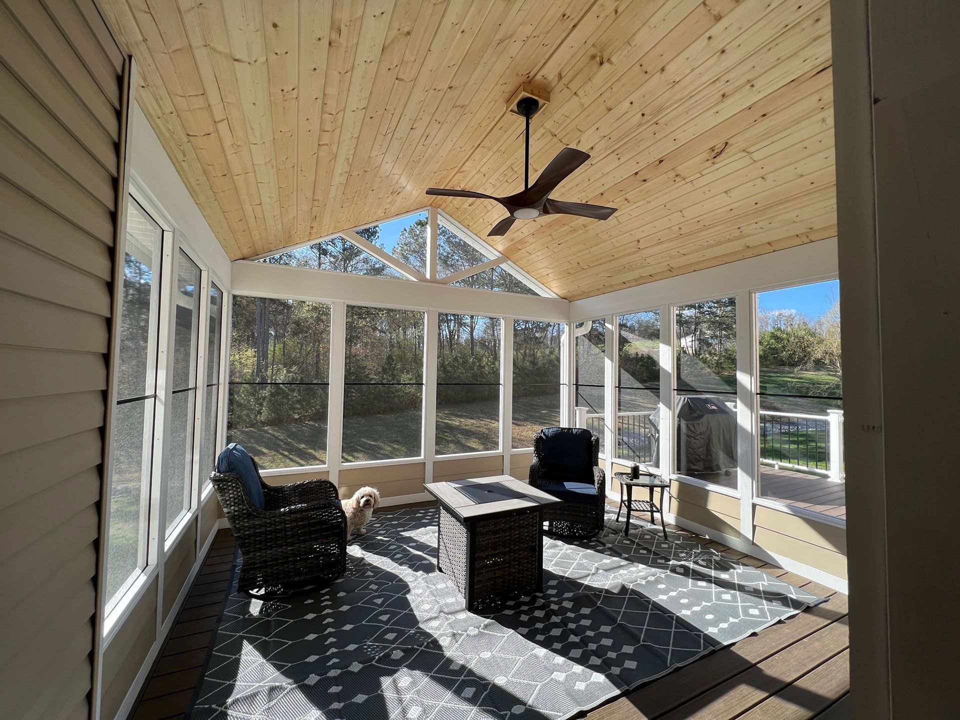 screened patio and a dog