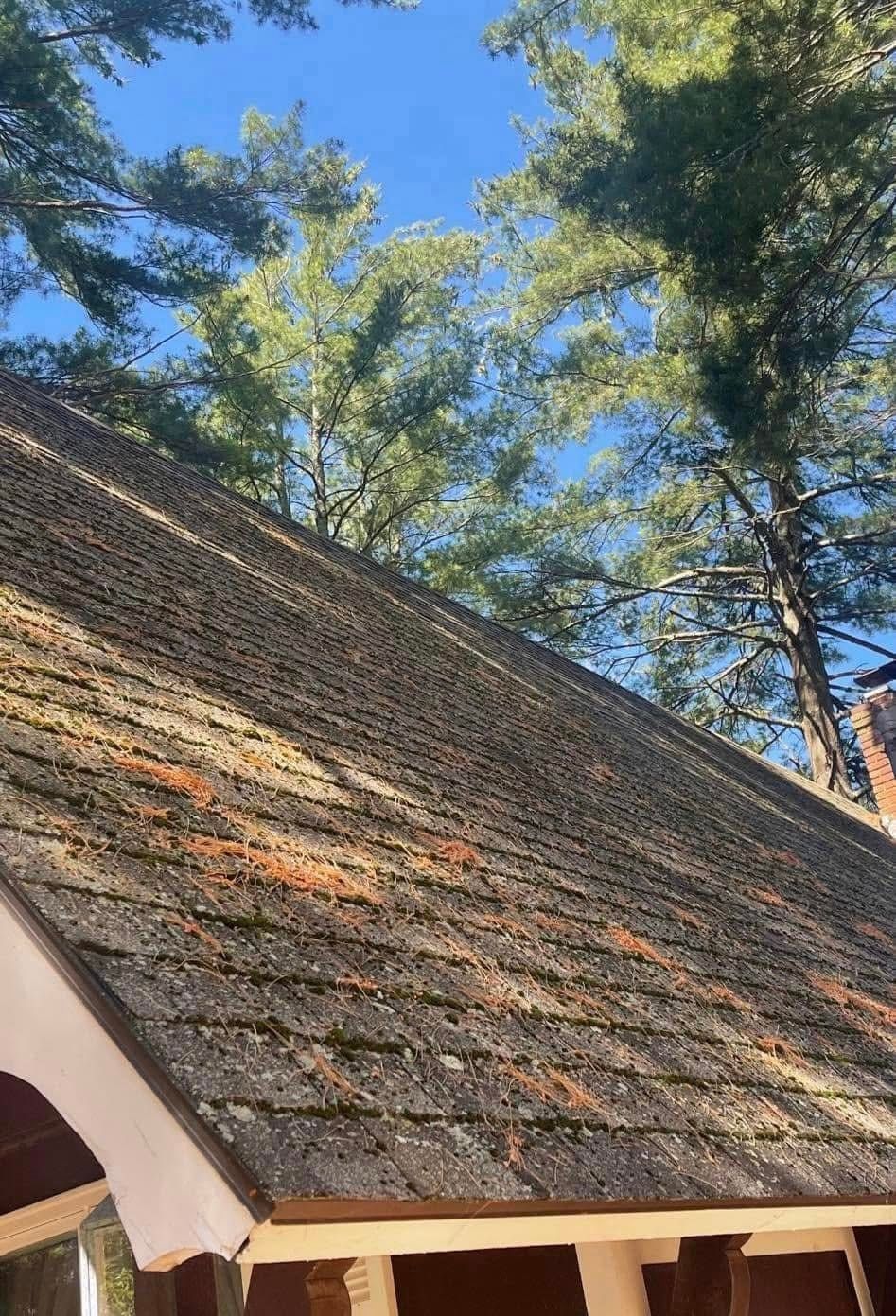 A weathered, dark shingled roof with scattered pine needles and patches of moss, viewed from below against blue sky.