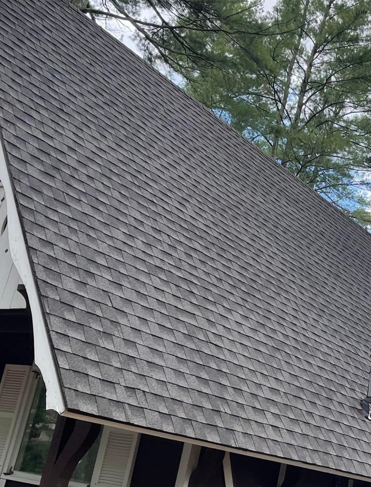 A steep, gray shingled roof under a tree-lined sky, featuring a white trim accent along the edge.