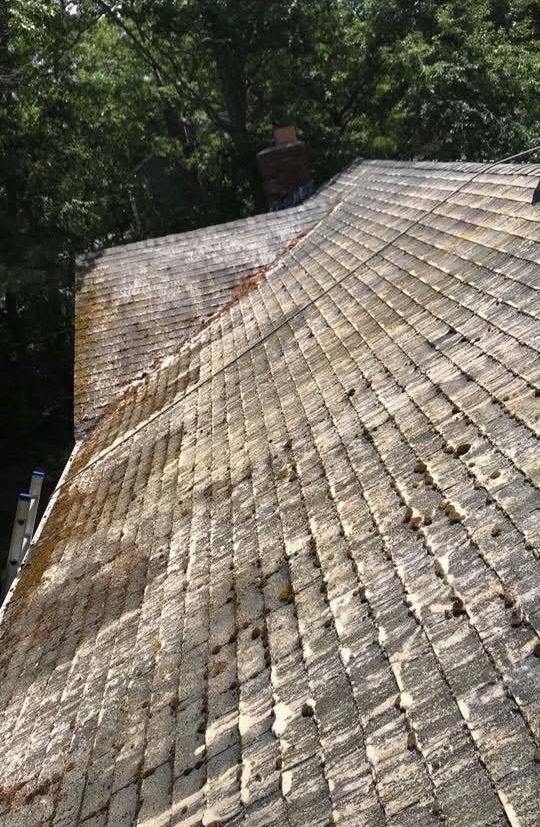 A view looking down a weathered, shingled roof covered in patches of moss and debris, with trees in the background.