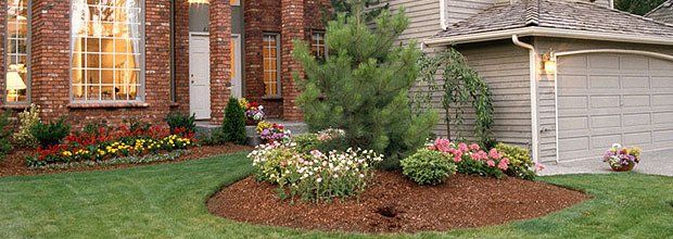 Residential landscaped yard