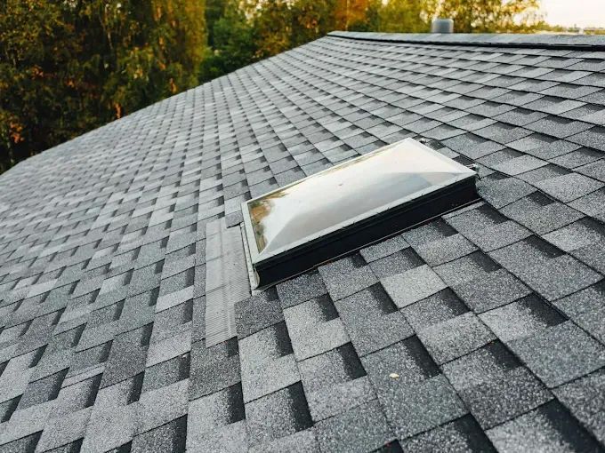 Gray asphalt shingle roof with a rectangular skylight; trees in the background.