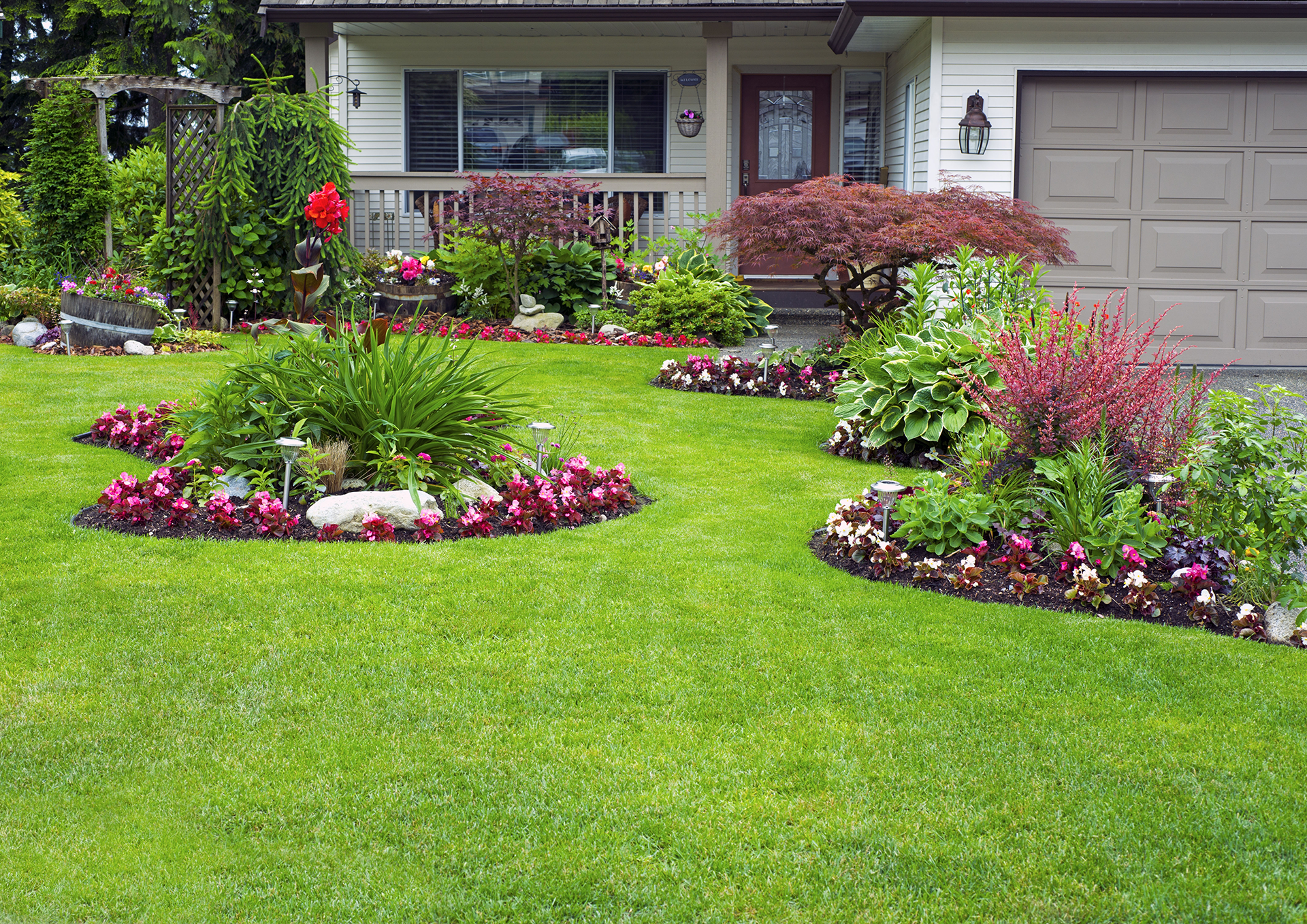 Plants on a front yard