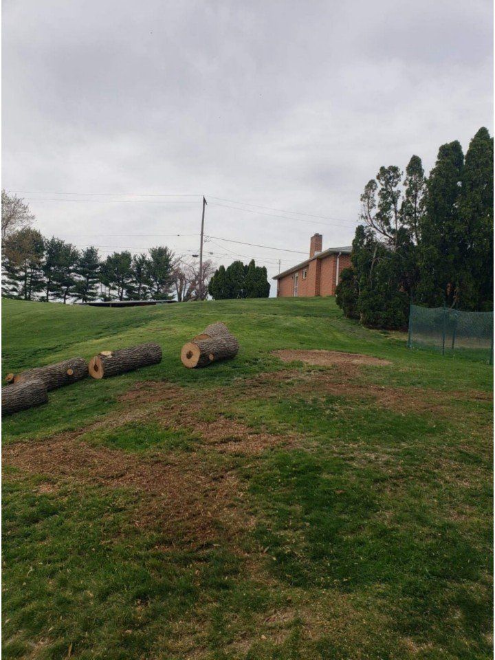 Stumps-image