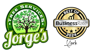 Jorge's Tree Service, LLC logo