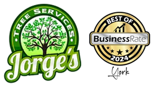 Jorge's Tree Service, LLC logo