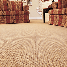 Home carpet cleaning