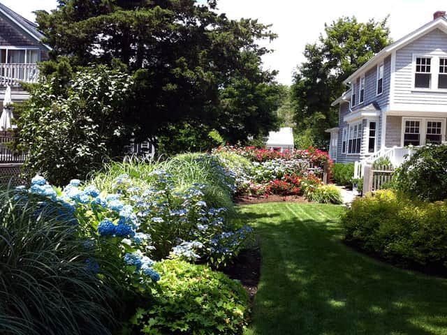 Garden path between white houses with blue and red flowers and lush green landscaping