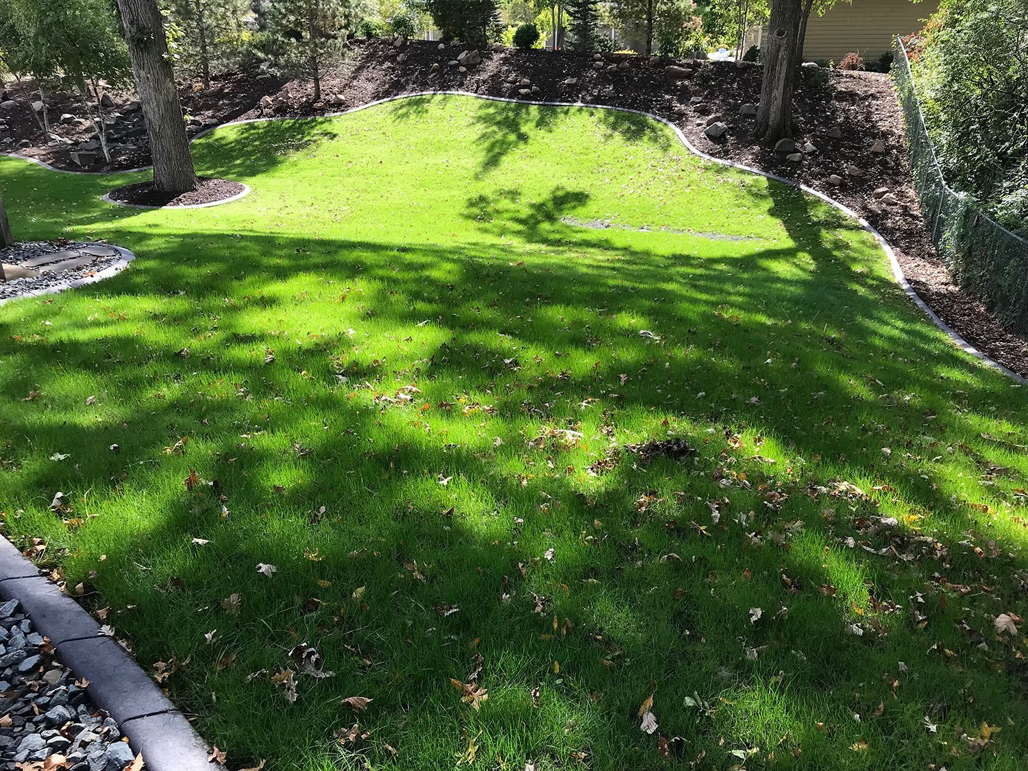 A lush green lawn with trees and bushes in the background