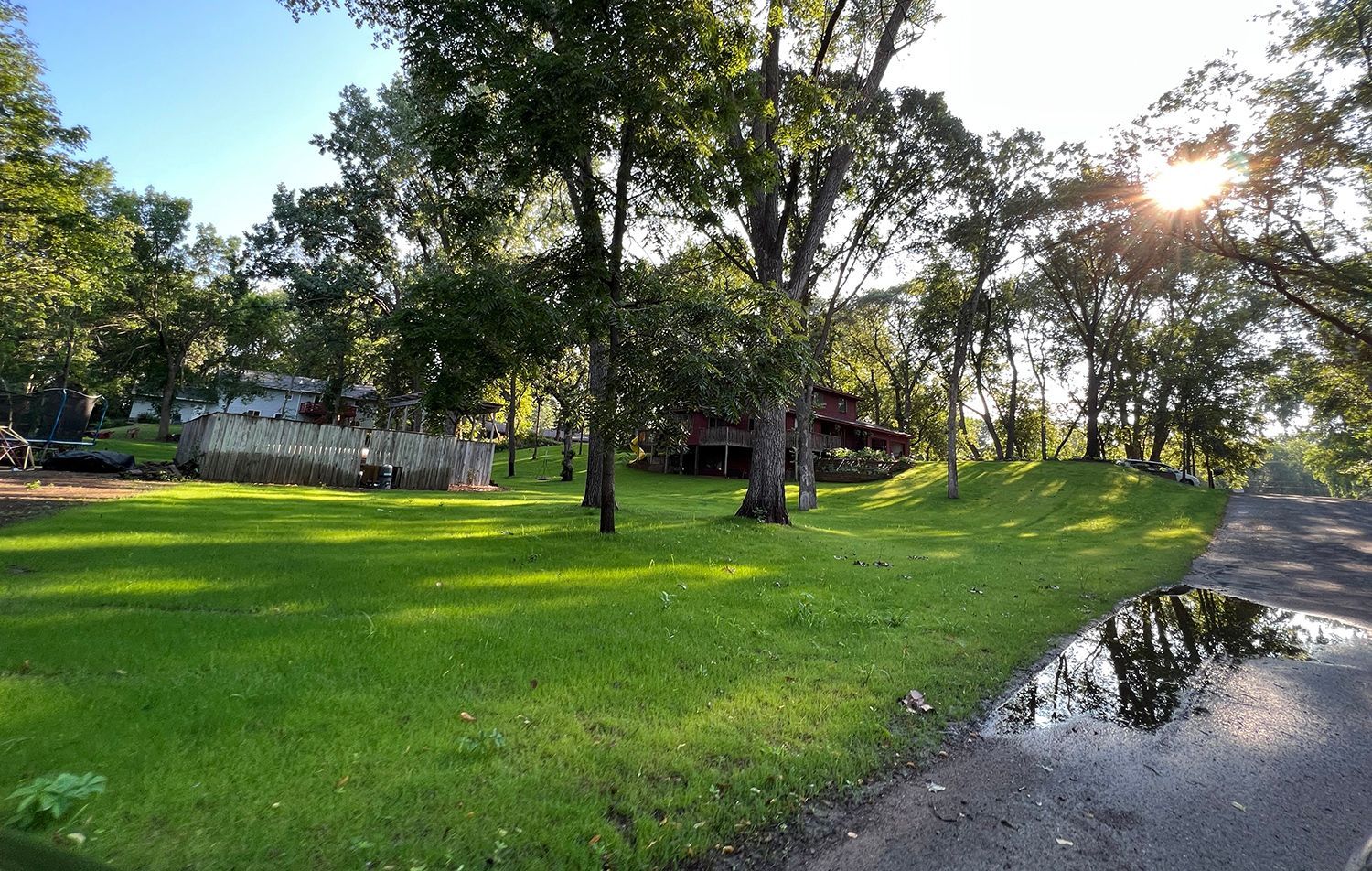 The sun is shining through the trees on a lush green field