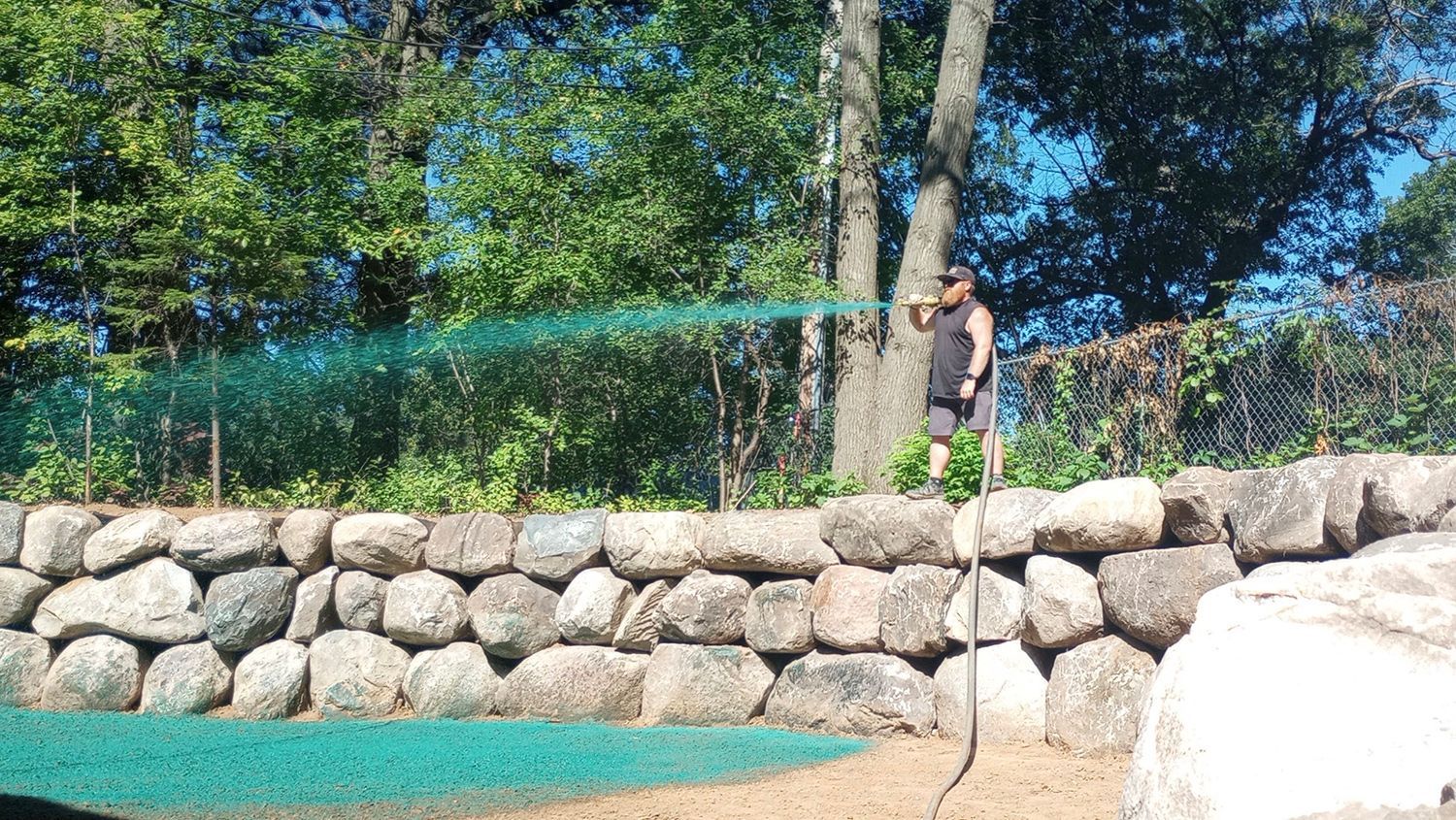 A man is spraying grass with a hose
